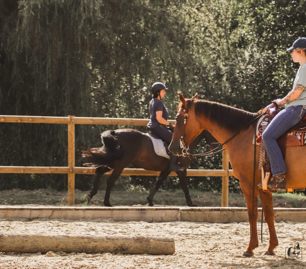 EDC - Session finale-011