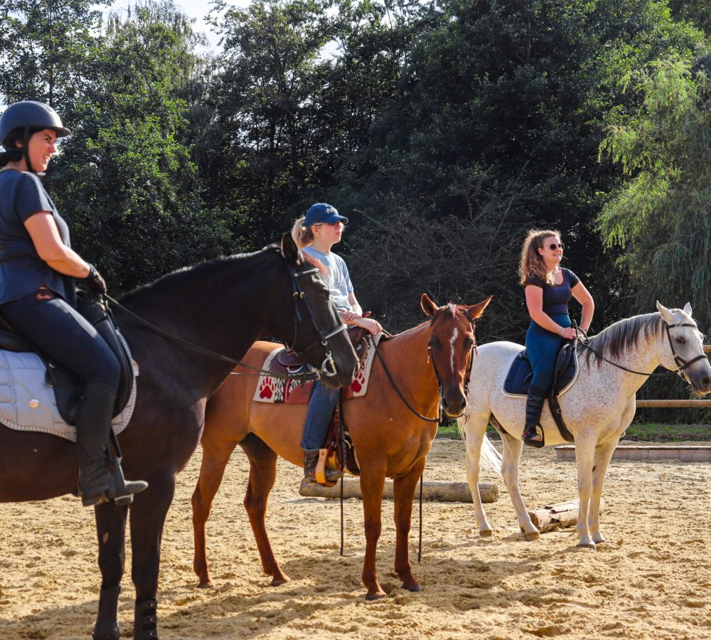 EDC - Session finale-200